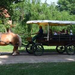 zwiedzanie Muzeum Wsi Mazowieckiej w Sierpcu