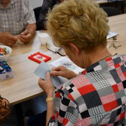 Projekt Aktywny Senior