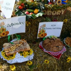 Dożynki Gminne - Głogowo 2023