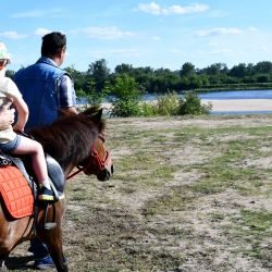 XV Przegląd Tradycyjnych Kapel Weselnych