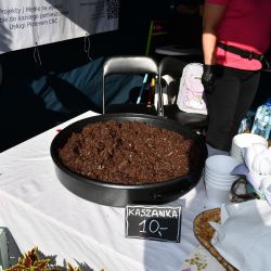 XV Przegląd Tradycyjnych Kapel Weselnych