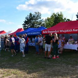XV Przegląd Tradycyjnych Kapel Weselnych