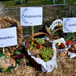 Dożynki Gminne 2024 Osiek nad Wisłą