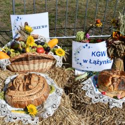 Dożynki Gminne 2024 Osiek nad Wisłą