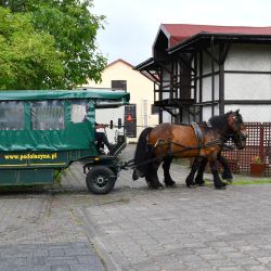 Trzeci dzień warsztatów z GOK