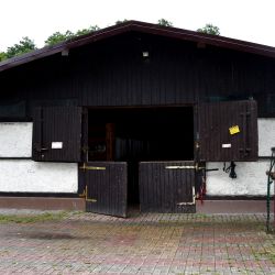 Trzeci dzień warsztatów z GOK