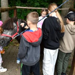 Trzeci dzień warsztatów z GOK