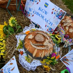 Gminne Dożynki w Obrowie