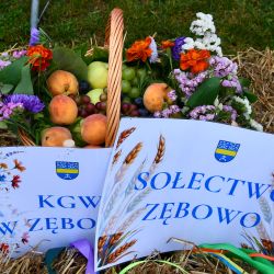 Gminne Dożynki w Obrowie