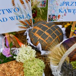 Gminne Dożynki w Obrowie