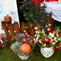 Gminne Dożynki w Obrowie